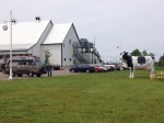Large cow large van