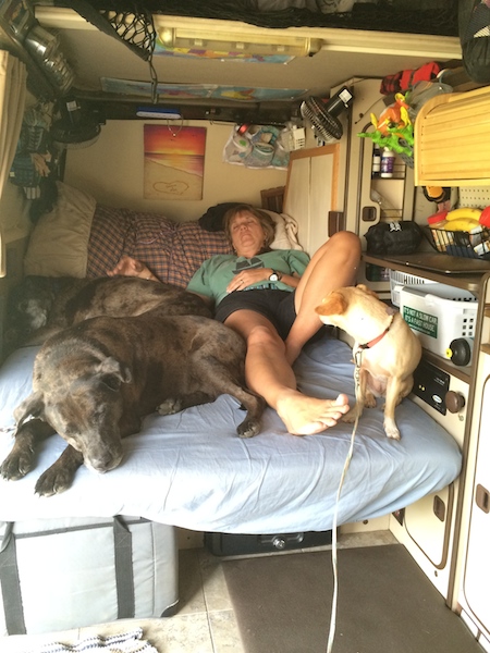 Fitterer sleeping in the van.jpg