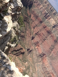 South Rim of Grand Canyon.jpg