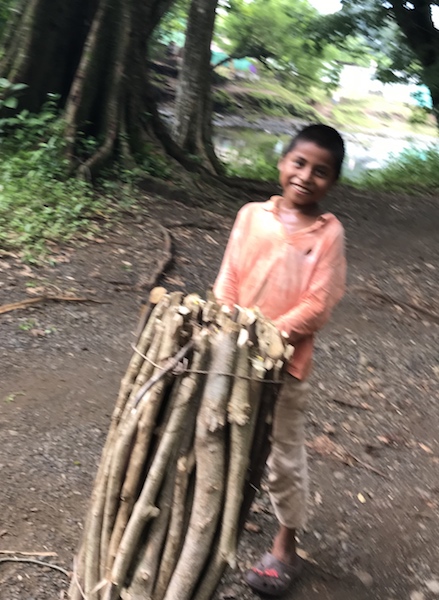 carrying wood3