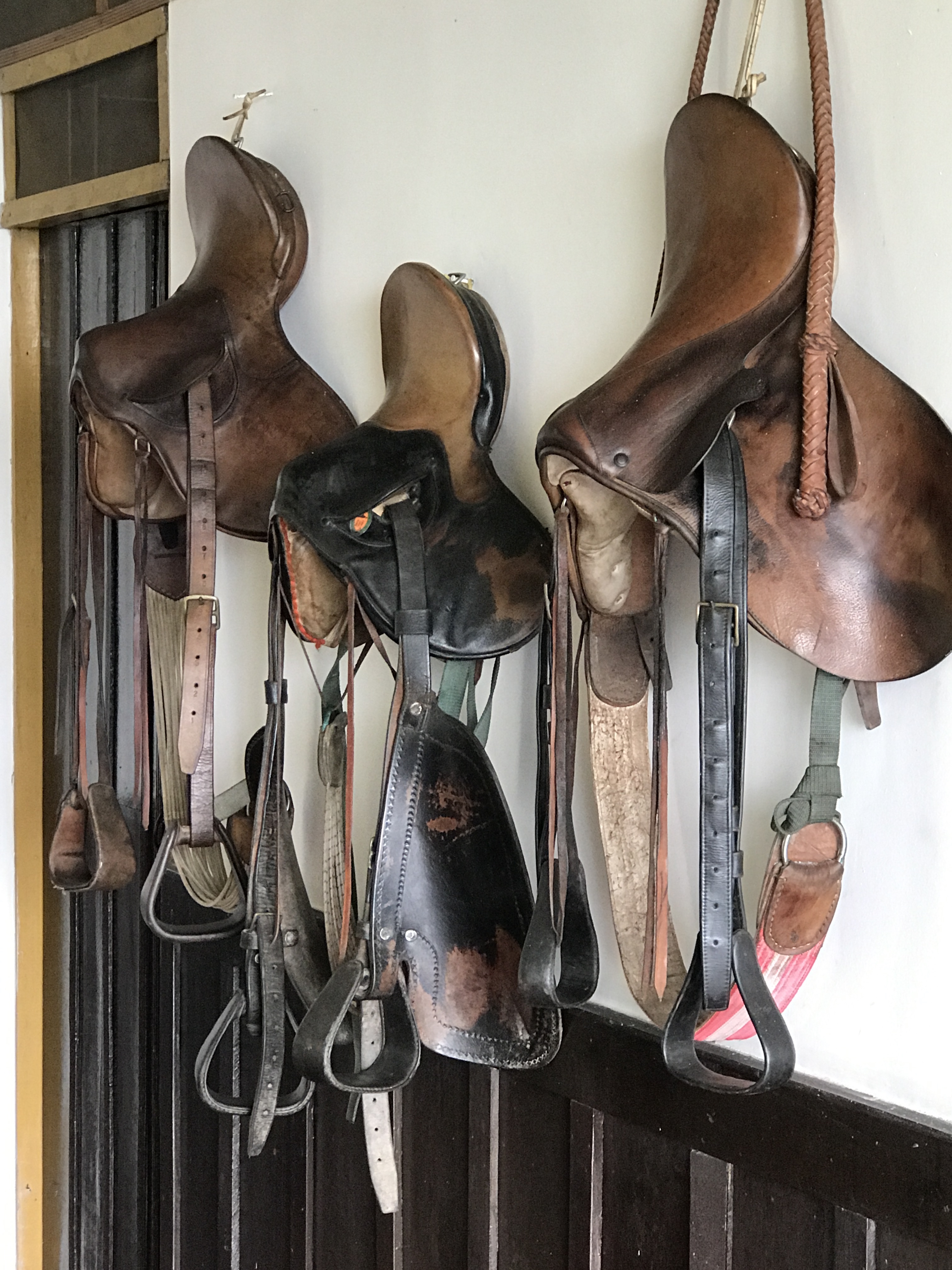 saddlery collection